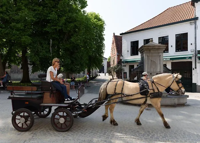 Haven 7 Bed and Breakfast Brugge